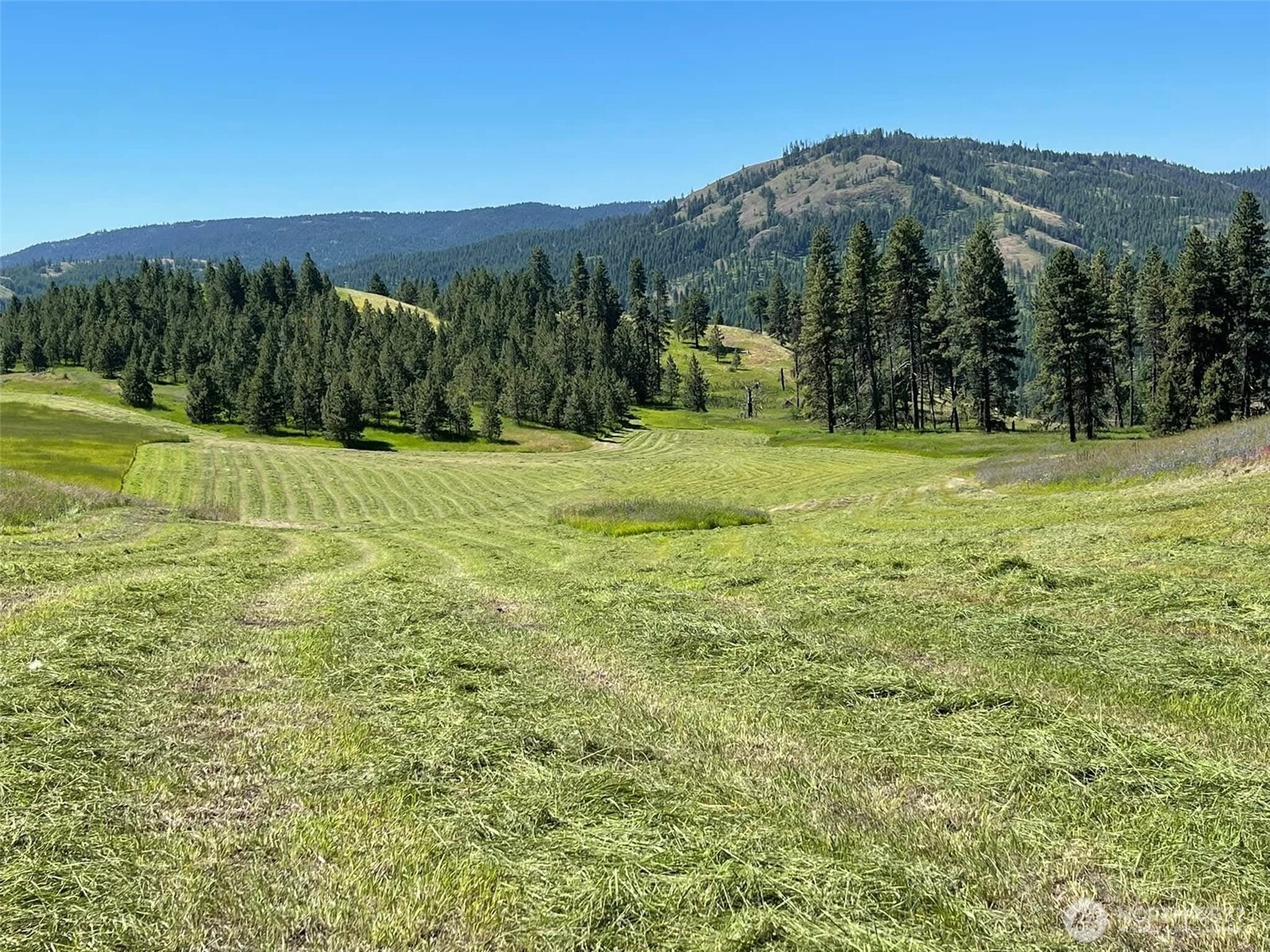 54 Hardrock Road Republic WA 99166
