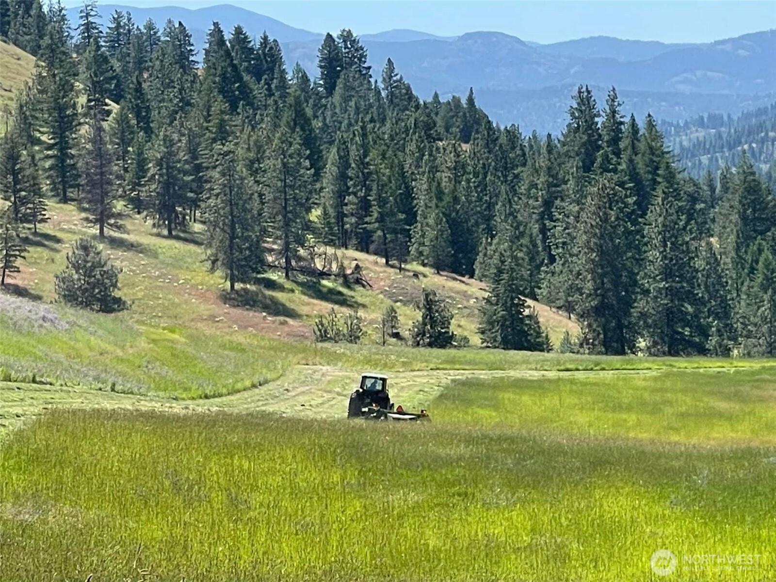 54 Hardrock Road Republic WA 99166