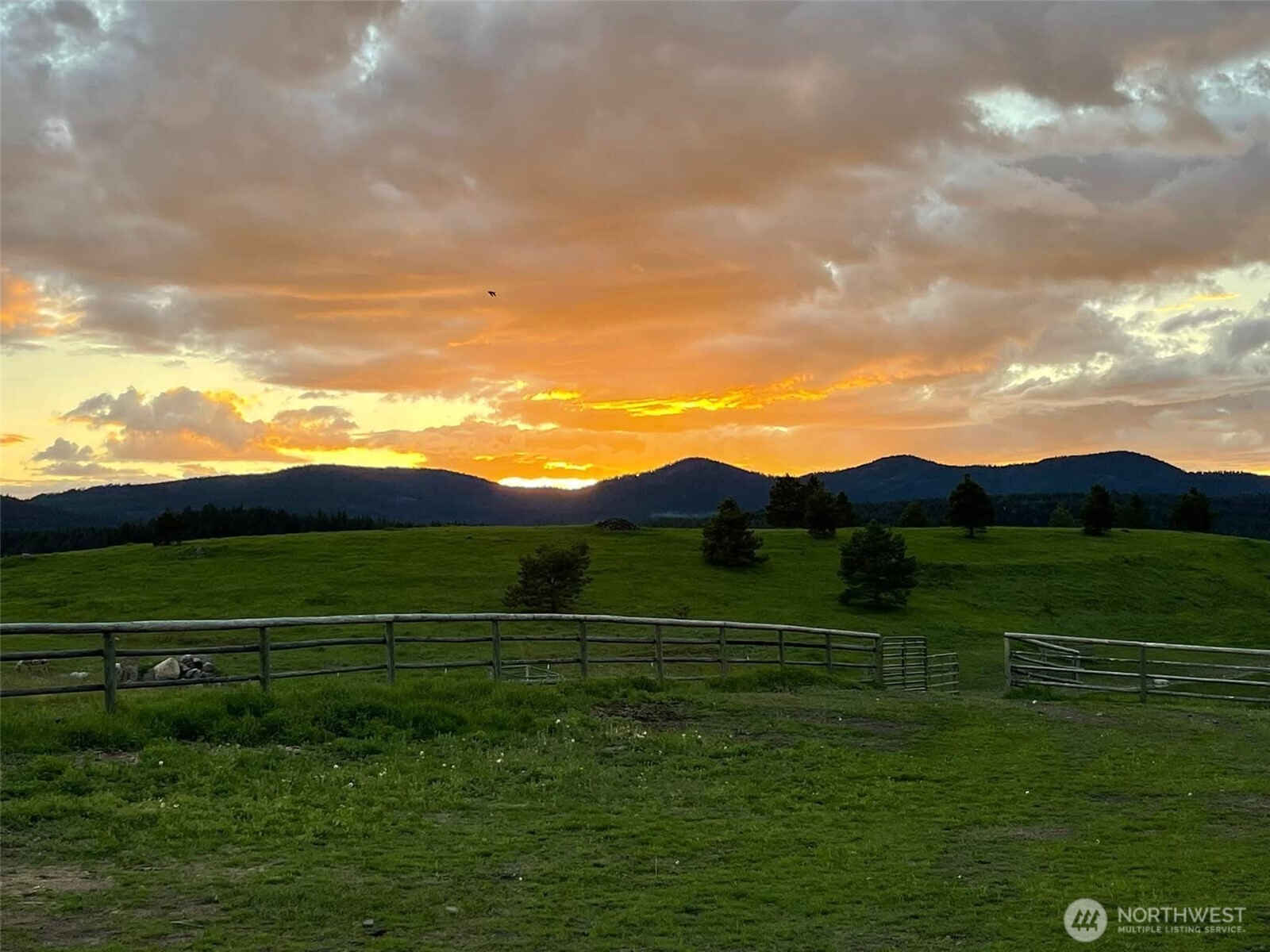 54 Hardrock Road Republic WA 99166