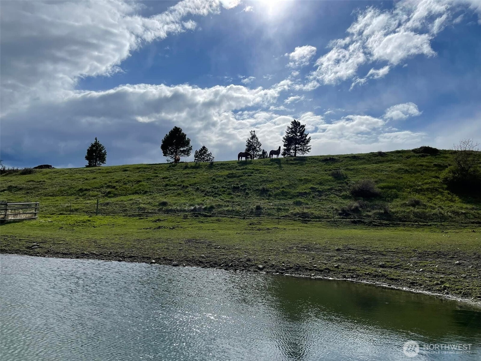 54 Hardrock Road Republic WA 99166
