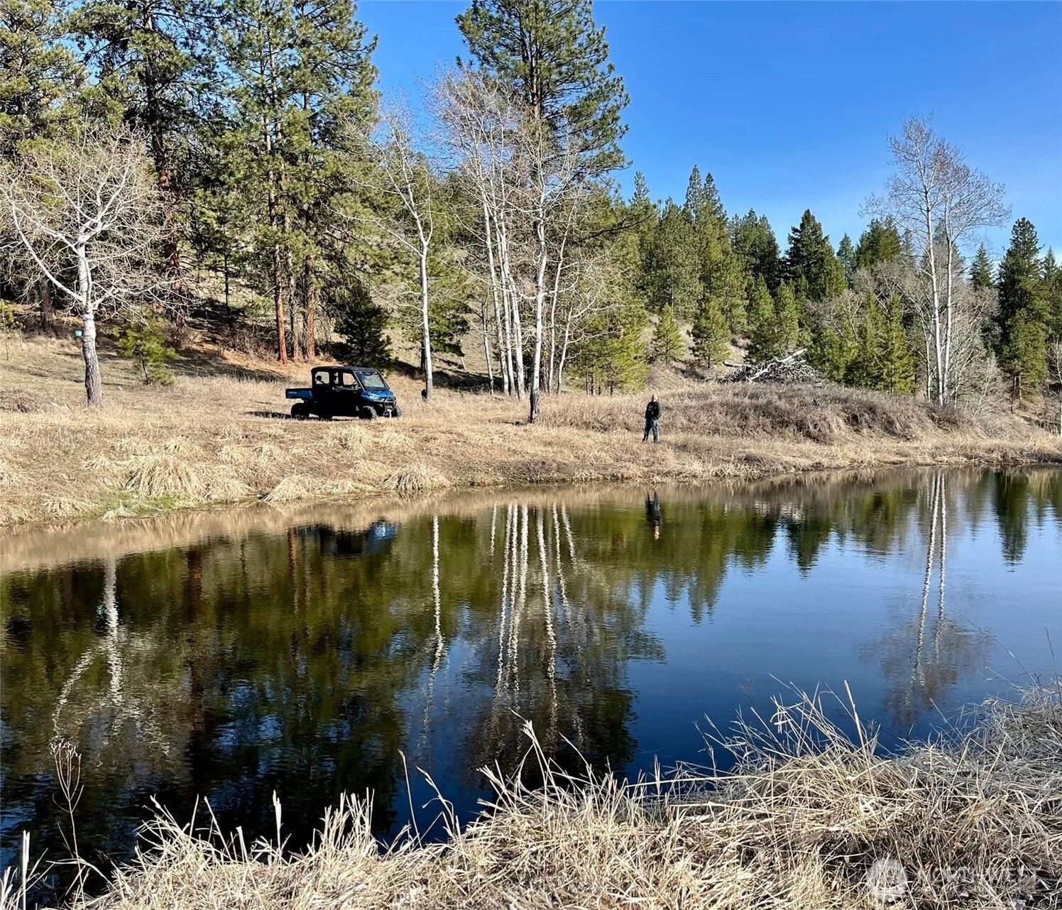 54 Hardrock Road Republic WA 99166