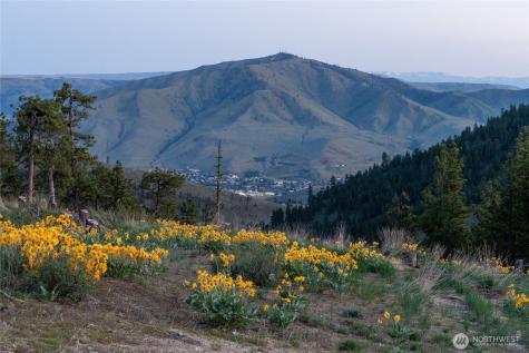 317 Cottontail Lane Chelan WA 98816