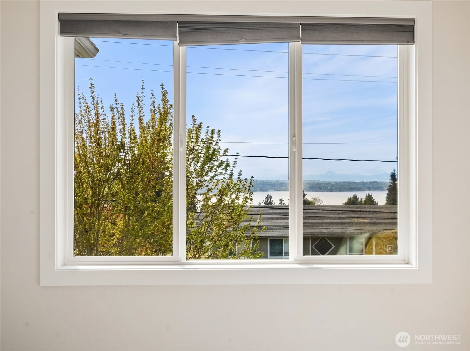 2824 Park Avenue N Renton WA 98056