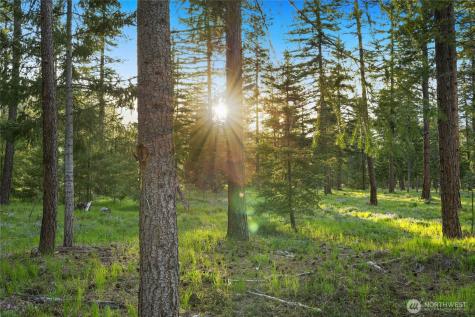 1001 Domerie Park Loop Cle Elum WA 98922