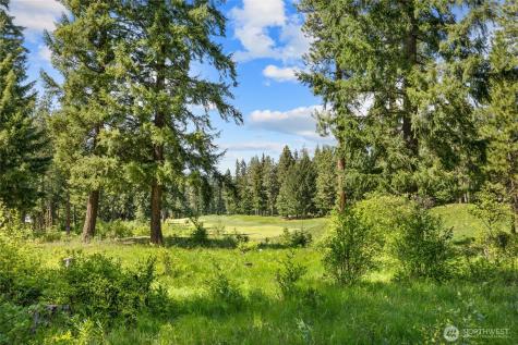 1390 Snowberry Loop Cle Elum WA 98922