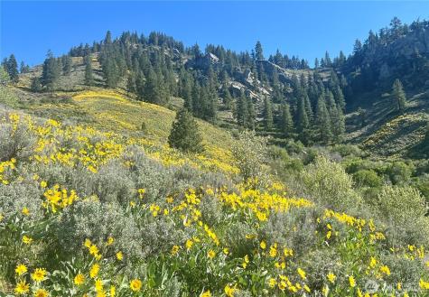 9505 Plateau Road Cashmere WA 98815