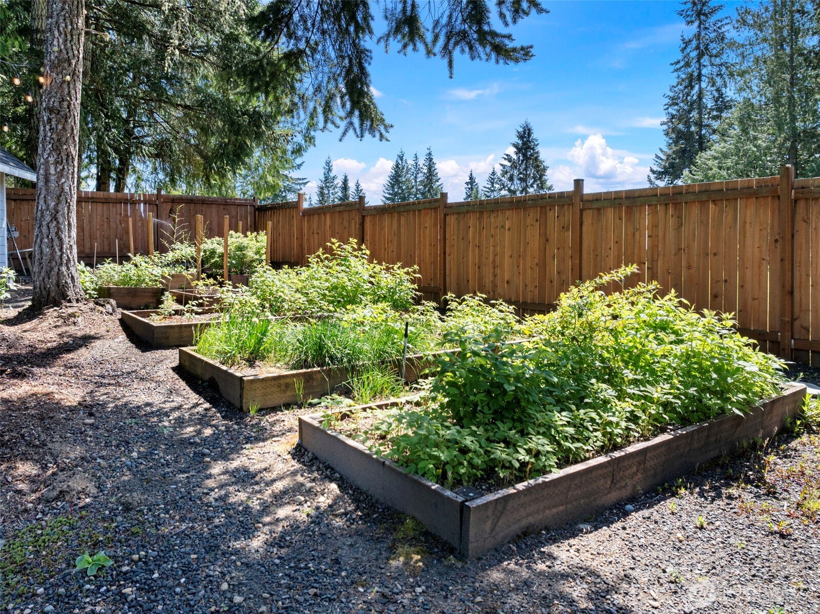 191 E Sterling Drive Allyn WA 98524