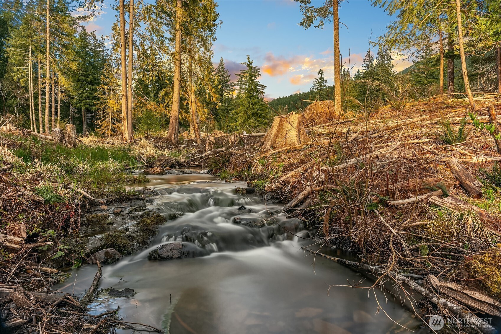 118 Burl Lane Packwood WA 98361