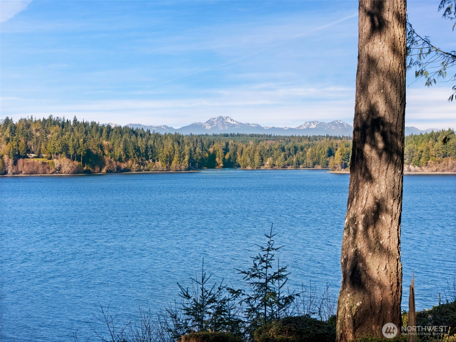 547 E Pointes Drive W Shelton WA 98584