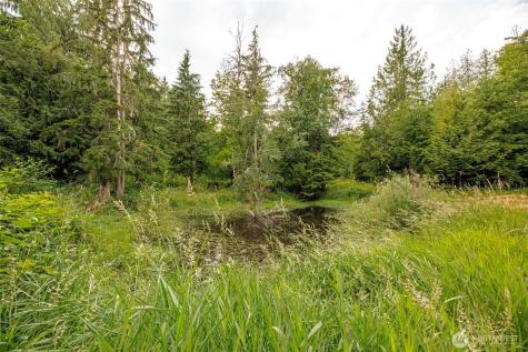 24015 Foxglove Lane Mount Vernon WA 98274