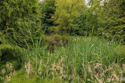 24015 Foxglove Lane Mount Vernon WA 98274