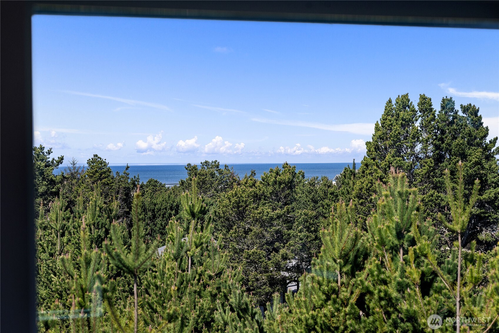 29375 L Lane Ocean Park WA 98640