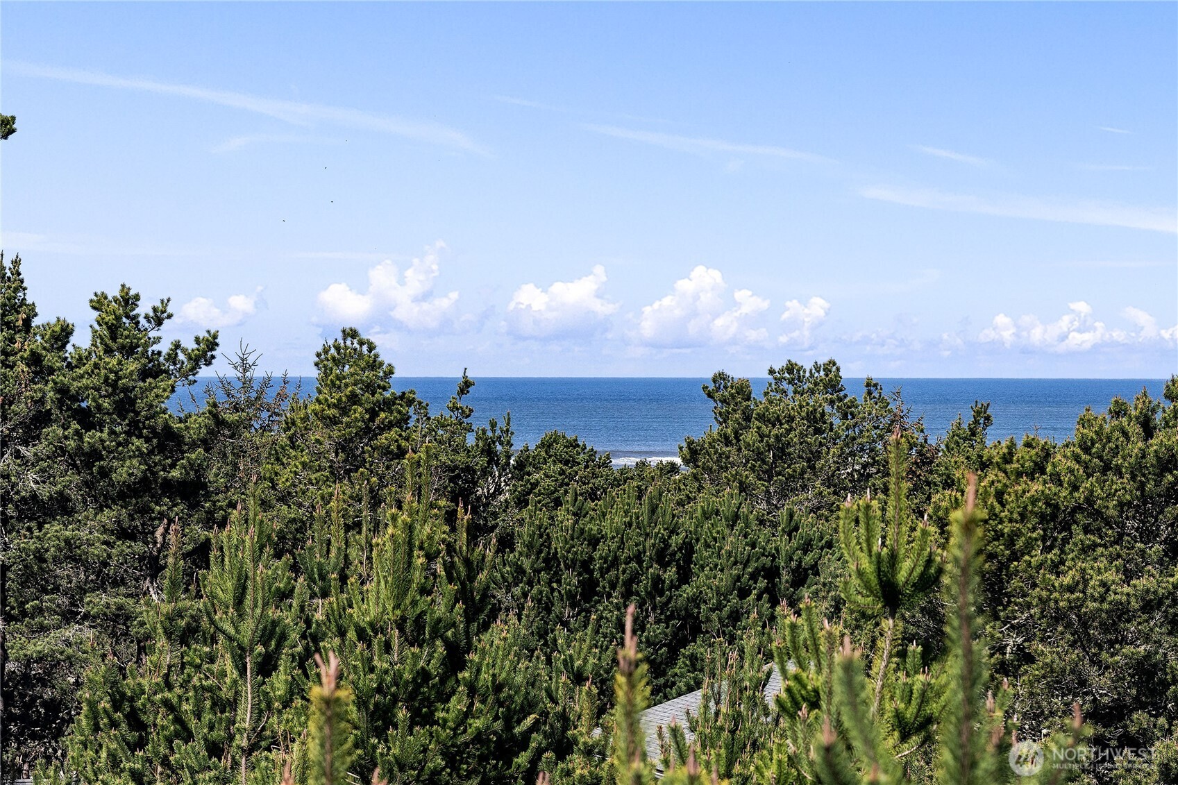 29375 L Lane Ocean Park WA 98640