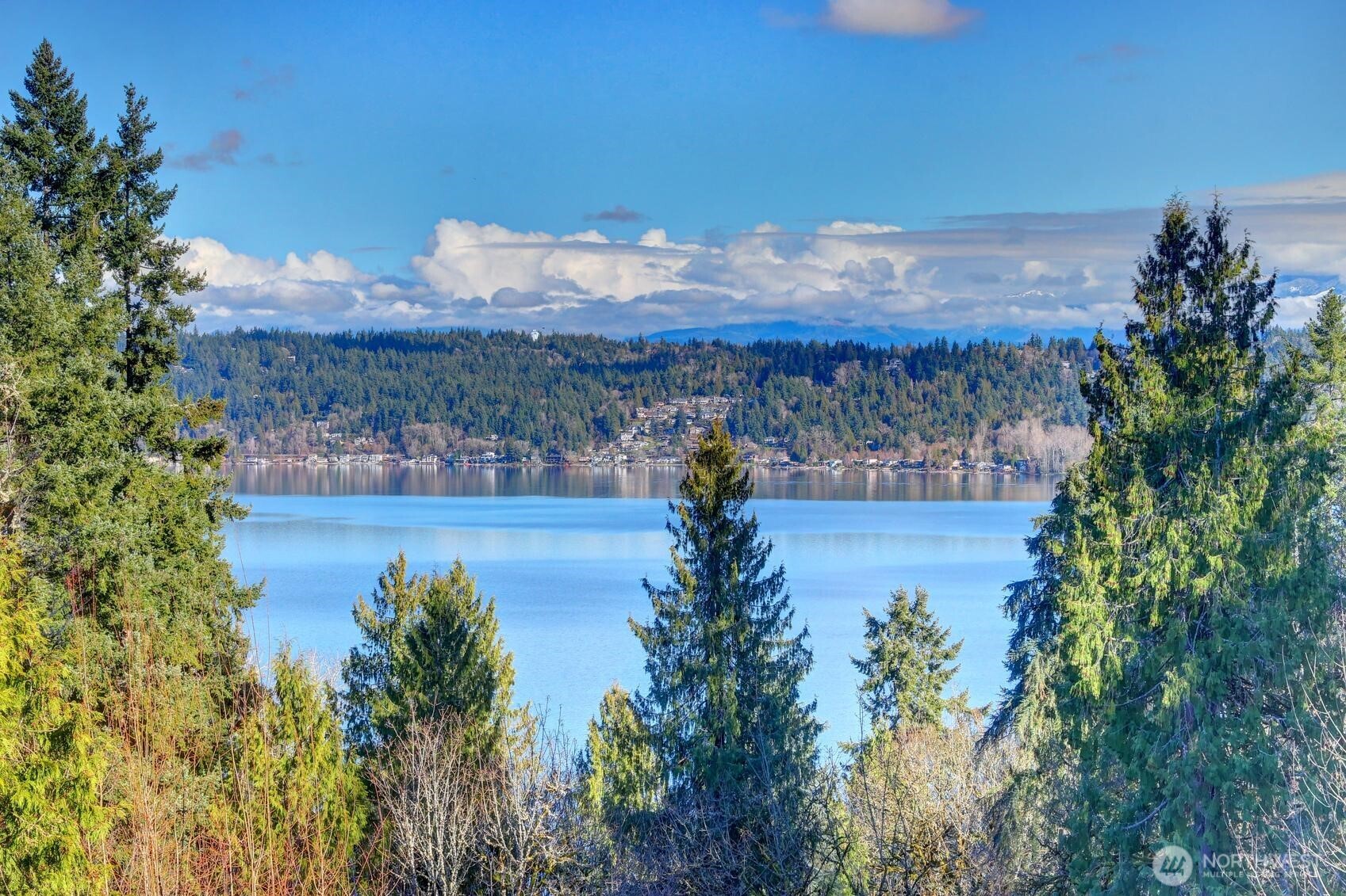 460 168th Avenue SE Bellevue WA 98008