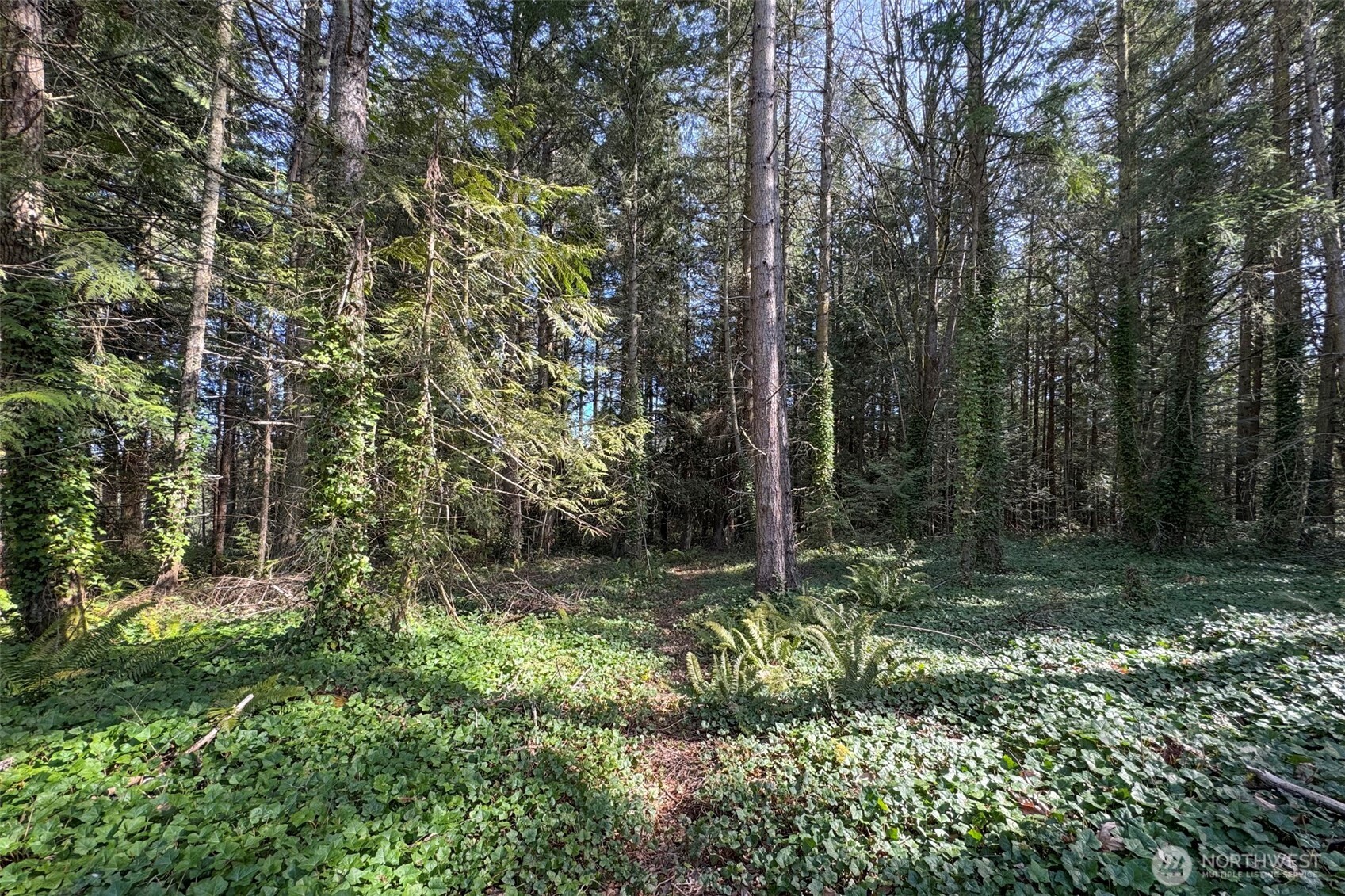 576 Blyn Springs Road Sequim WA 98382