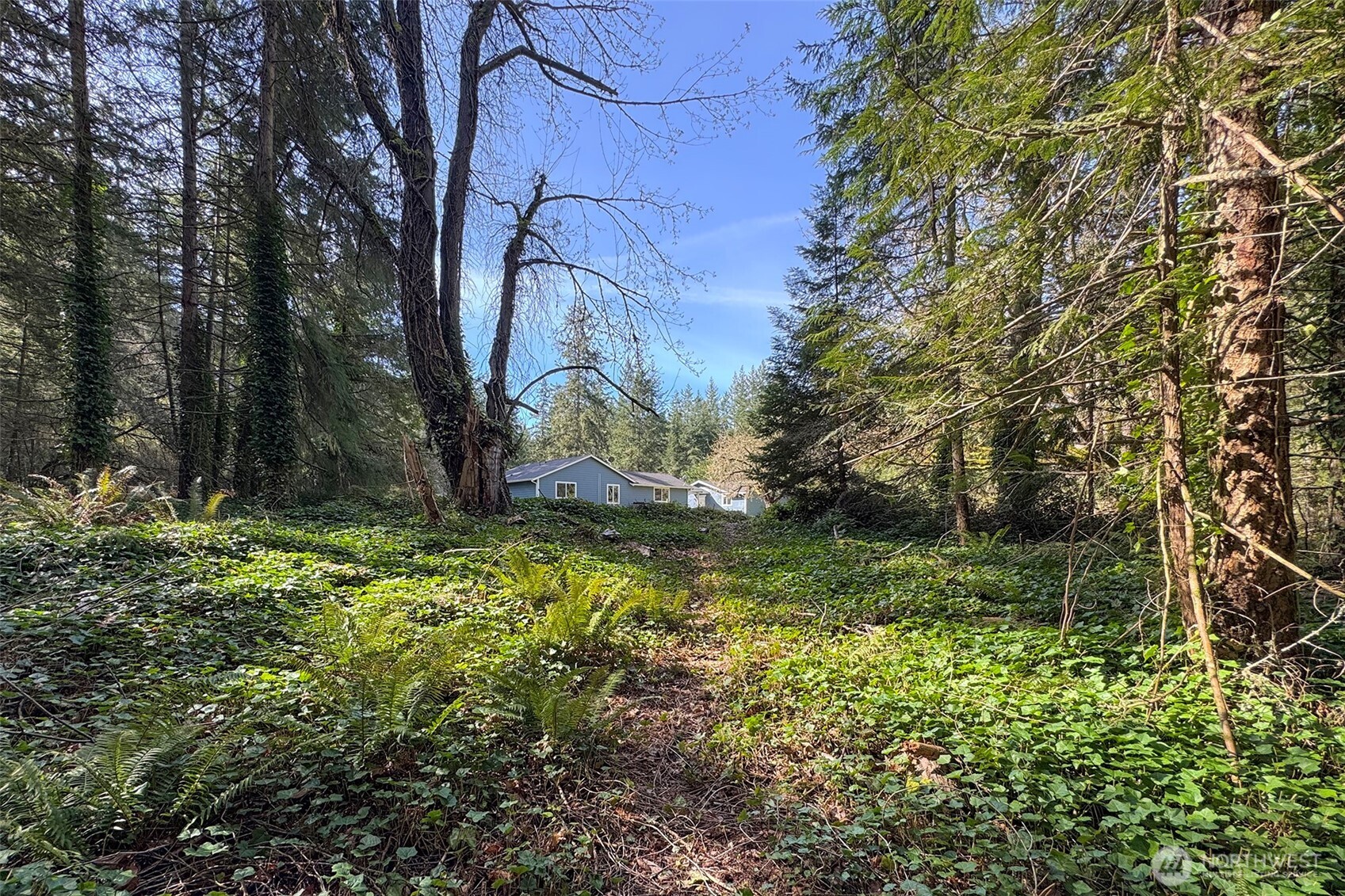 576 Blyn Springs Road Sequim WA 98382