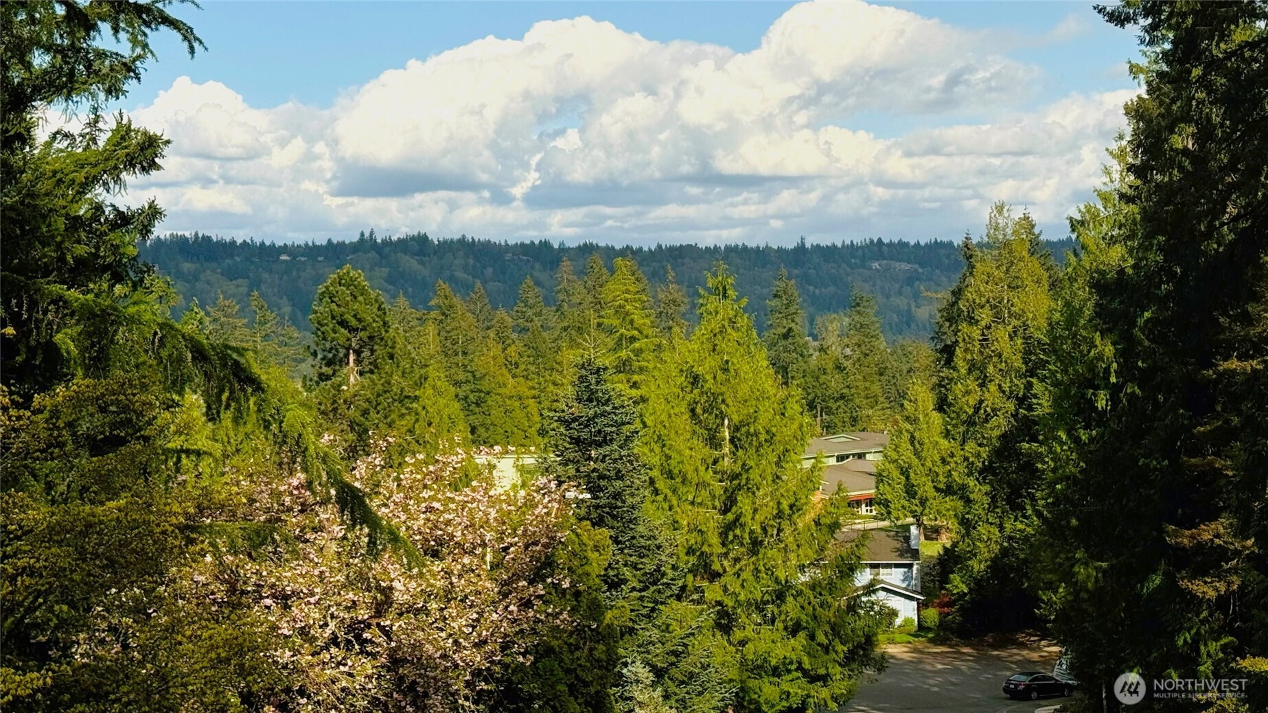 17603 NE 30th Place Redmond WA 98052