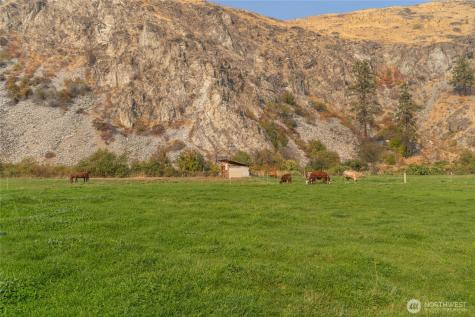 2560 Antione Creek Chelan WA 98816