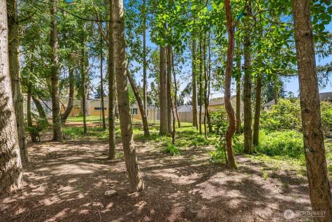 23304 55th Avenue W Mountlake Terrace WA 98043