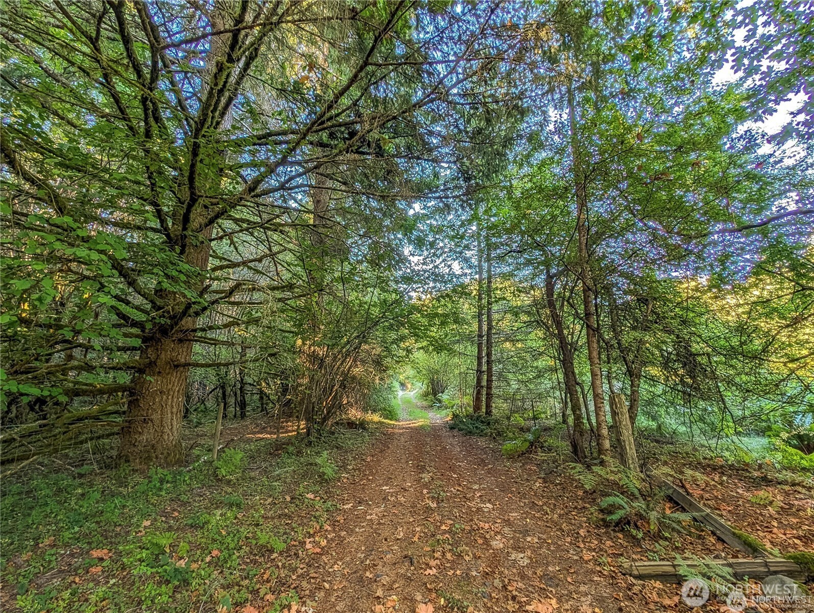 202 Kauer Road Randle WA 98377