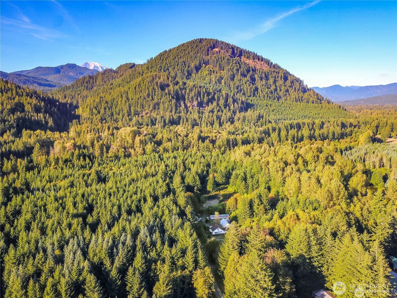 202 Kauer Road Randle WA 98377
