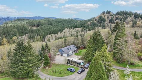 14900 NE Critter Hill Drive Amboy WA 98601