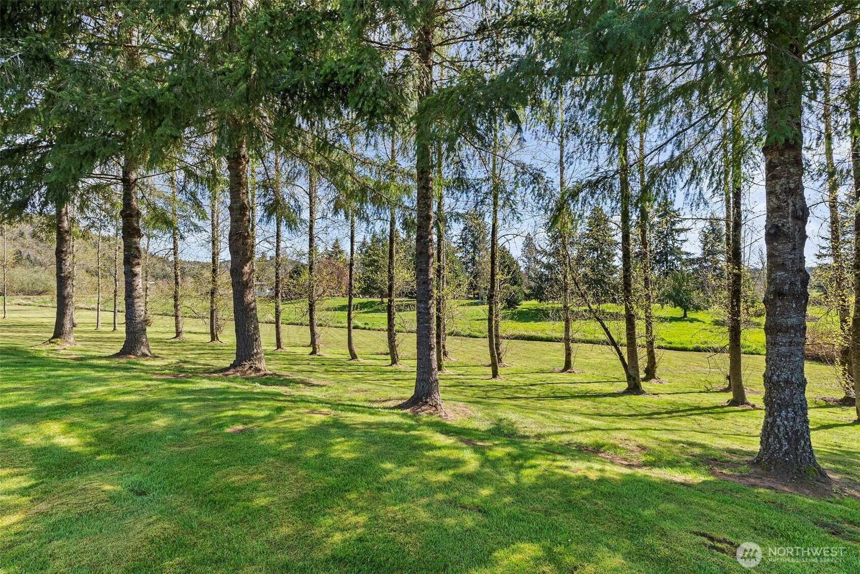 155 Camp One Road Raymond WA 98577