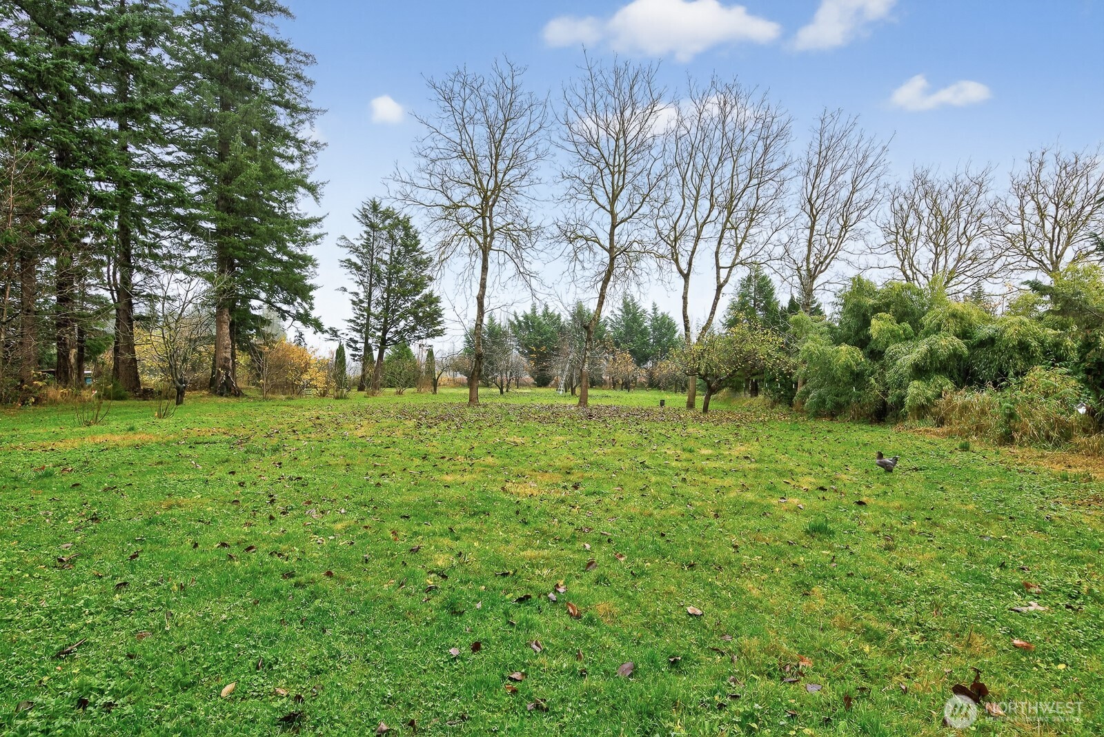 7554 Nooksack Road Everson WA 98247