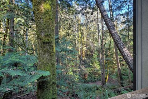 731 E Promontory Road Shelton WA 98584