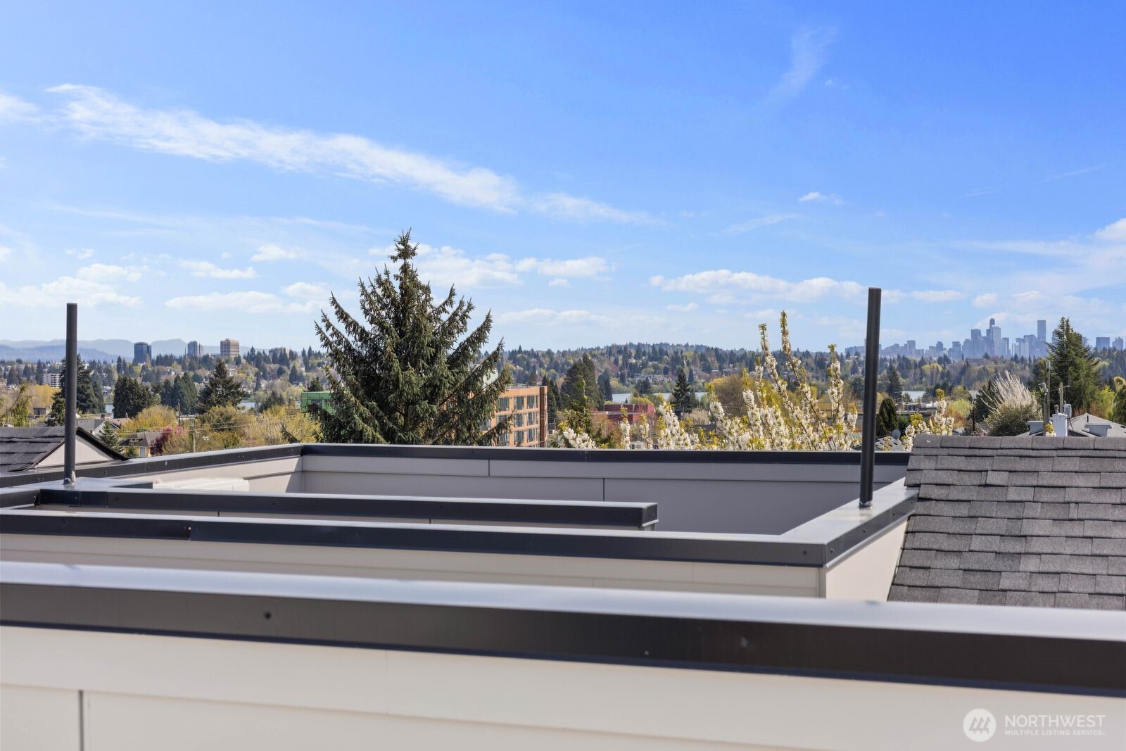 931 N 87th Street Seattle WA 98103
