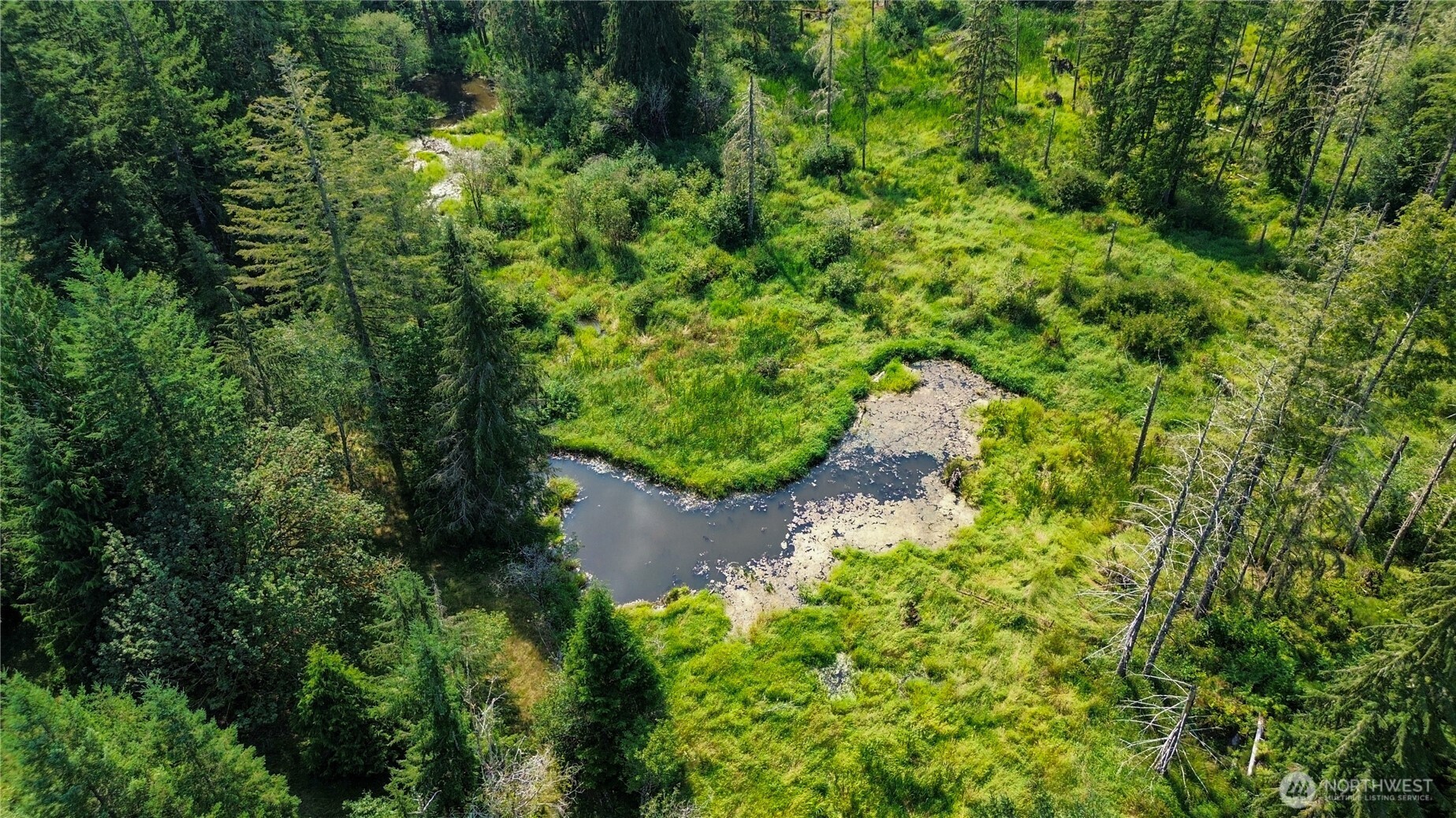 773 Lucas Creek Road Chehalis WA 98532