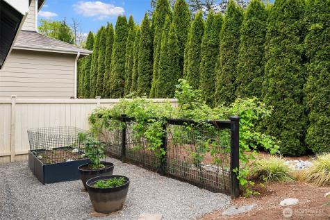 1617 216th Avenue NE Sammamish WA 98074
