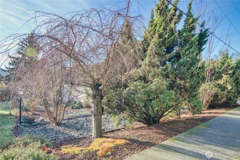 517 Sapp Road Sedro Woolley WA 98284