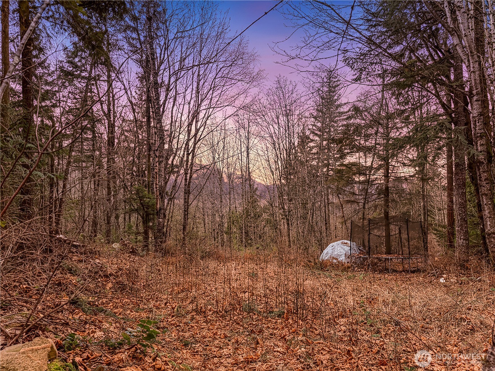 5450 Reese Hill Road Sumas WA 98295