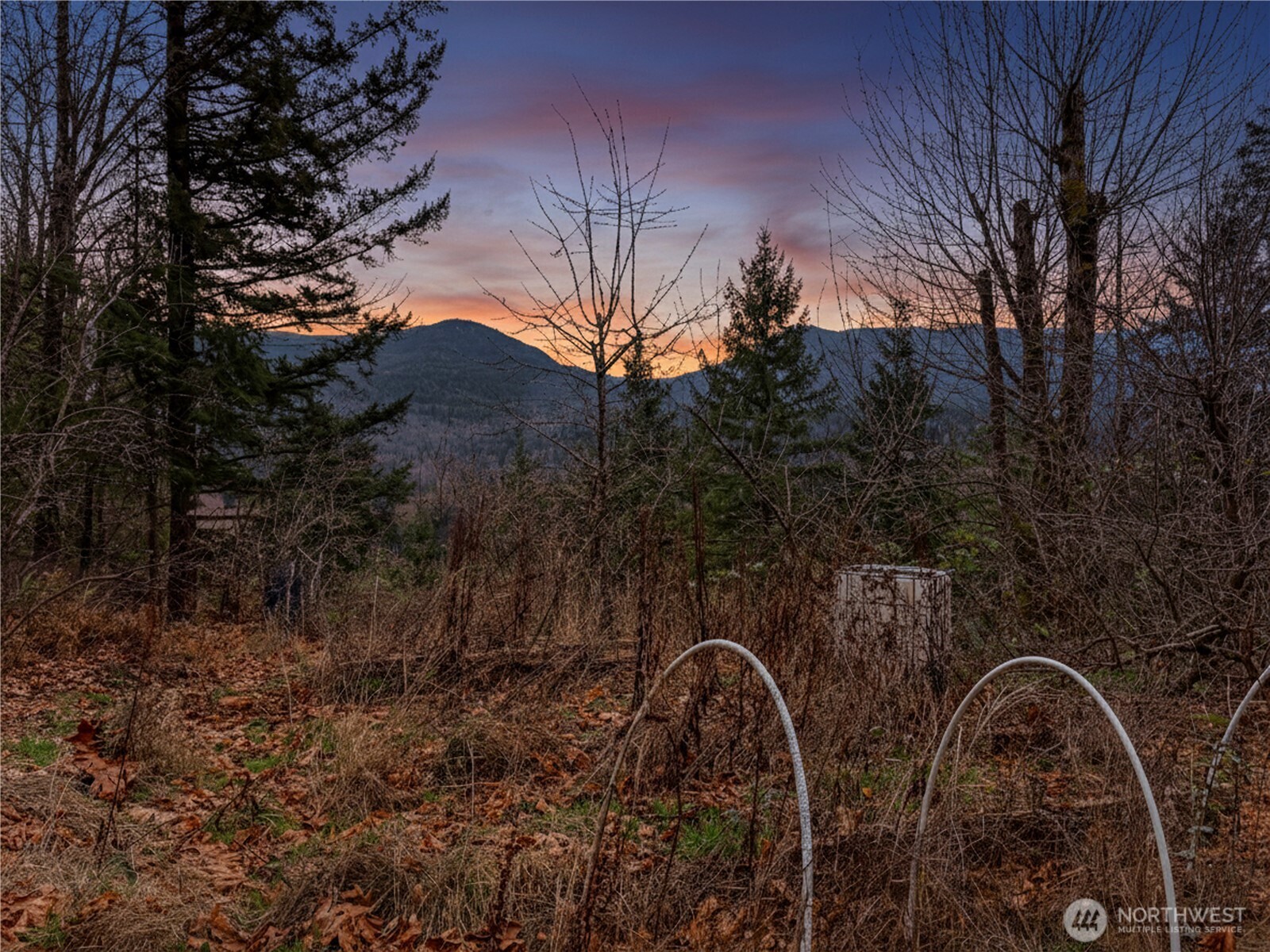 5450 Reese Hill Road Sumas WA 98295