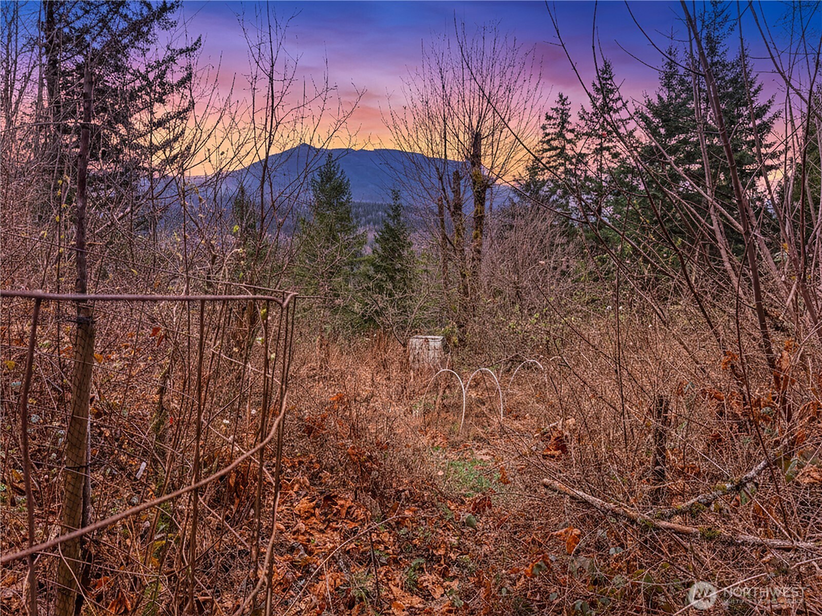 5450 Reese Hill Road Sumas WA 98295