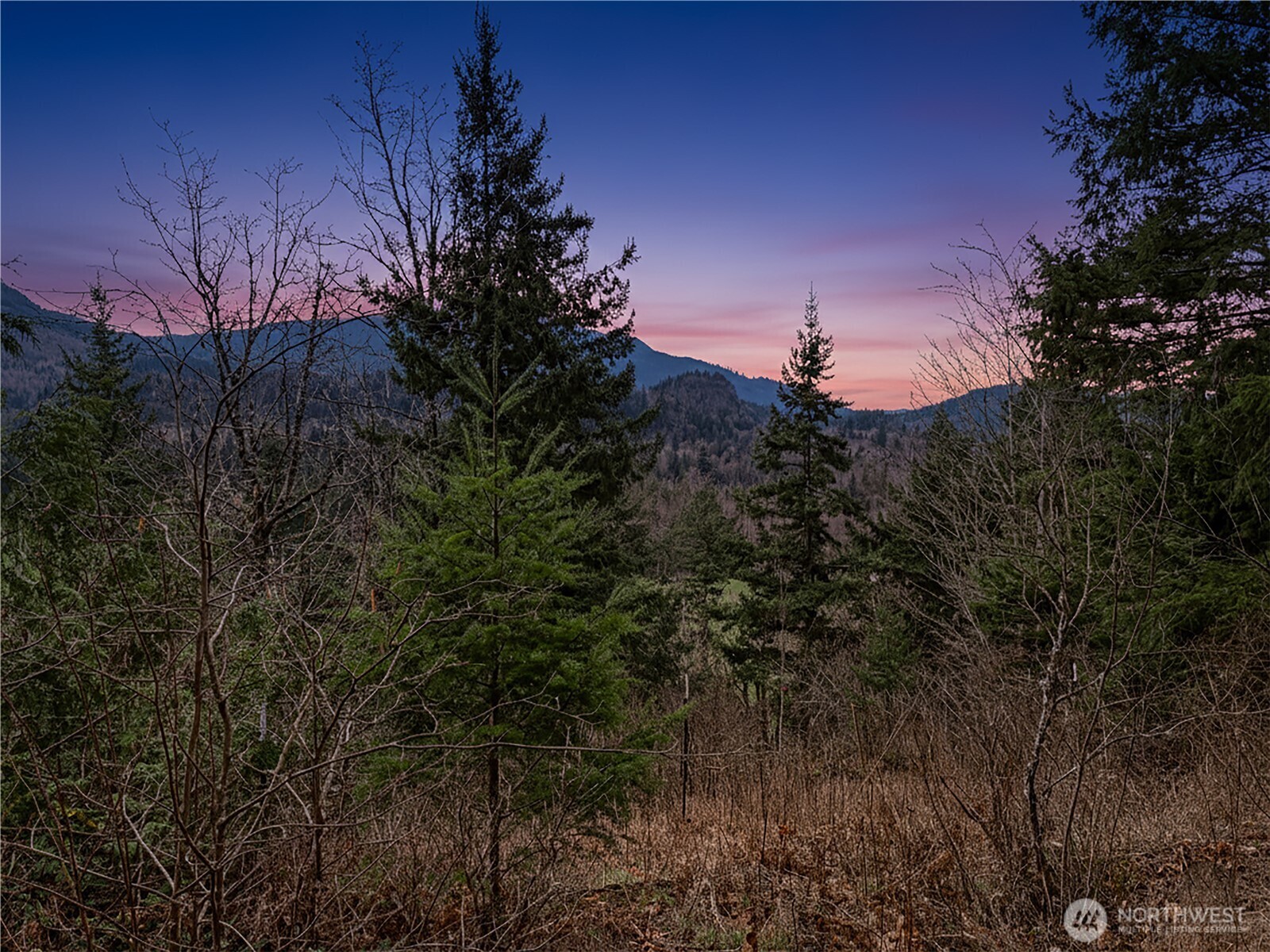 5450 Reese Hill Road Sumas WA 98295