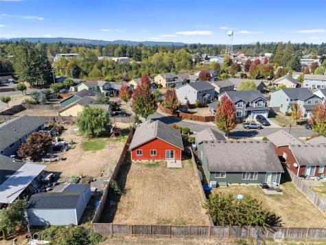 441 Stadium Loop Napavine WA 98565