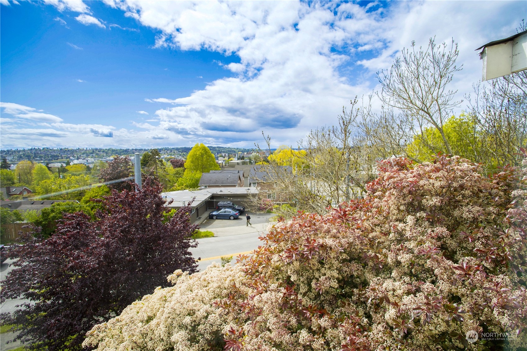 319 Nw 55 Street Seattle WA 98107