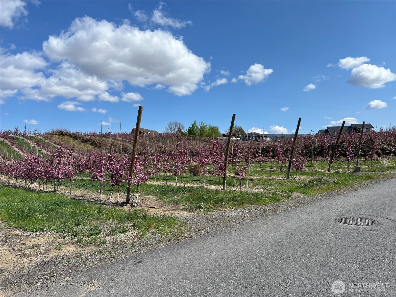 2532 7th Street SE East Wenatchee WA 98802