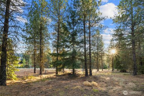 131 Gold Leaf Lane Cle Elum WA 98922