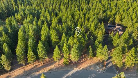 131 Gold Leaf Lane Cle Elum WA 98922