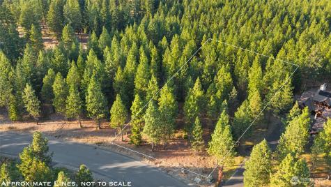 131 Gold Leaf Lane Cle Elum WA 98922