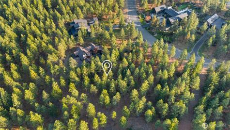 131 Gold Leaf Lane Cle Elum WA 98922