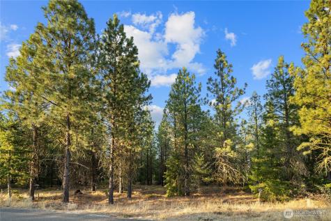131 Gold Leaf Lane Cle Elum WA 98922