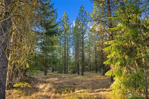 131 Gold Leaf Lane Cle Elum WA 98922