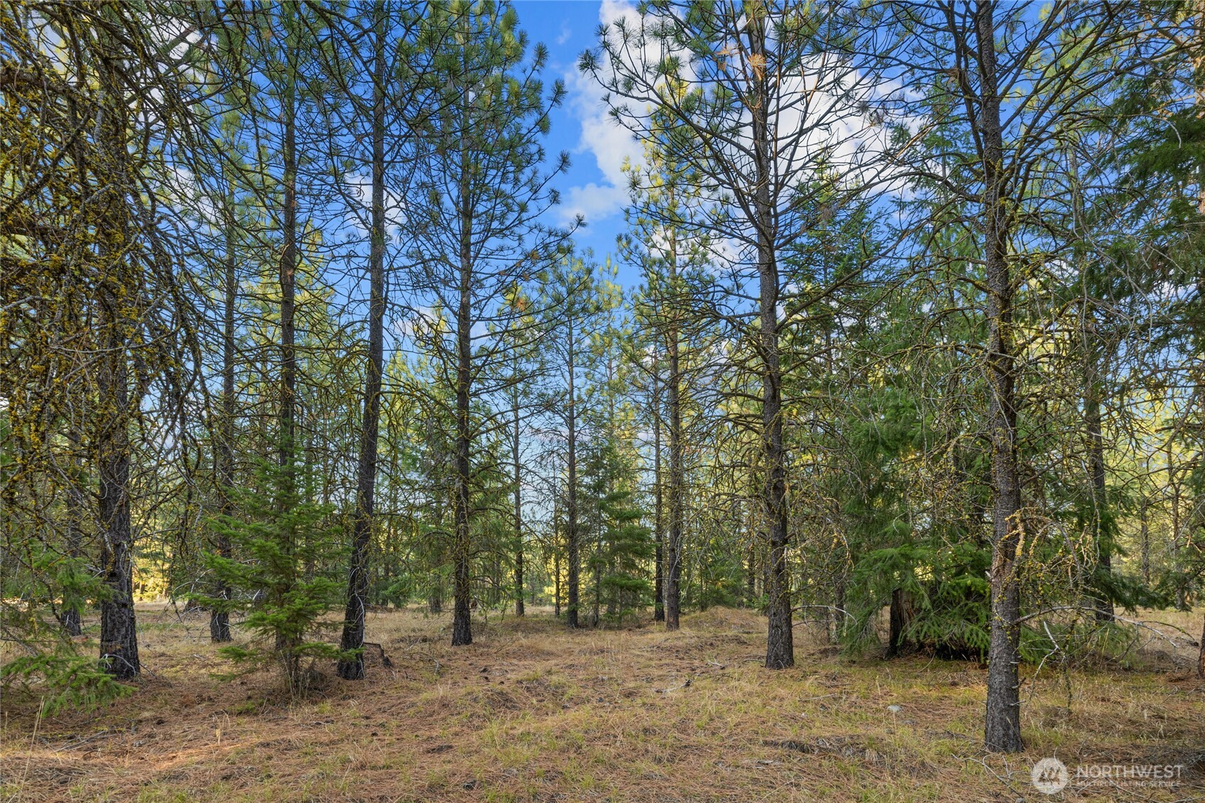 131 Gold Leaf Lane Cle Elum WA 98922