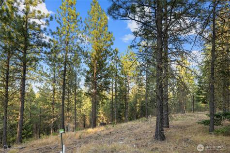 131 Gold Leaf Lane Cle Elum WA 98922