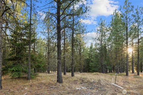 131 Gold Leaf Lane Cle Elum WA 98922