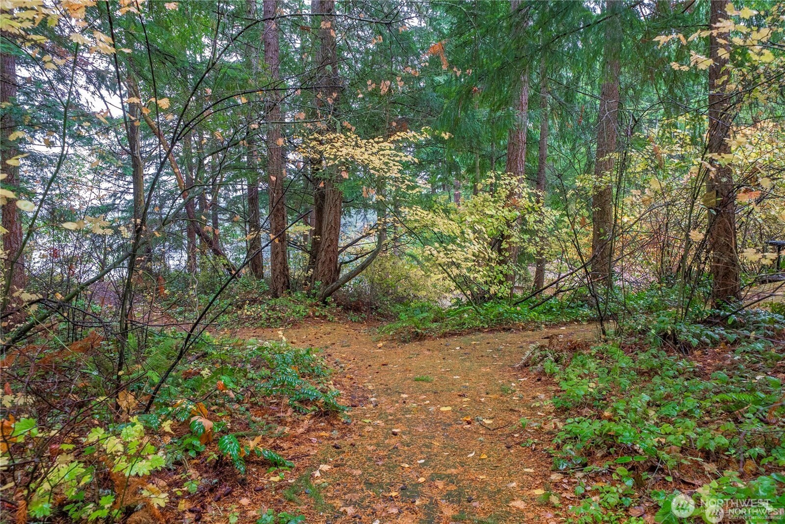 22145 N Clear Lake Boulevard SE Yelm WA 98597